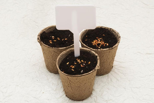 Biodegradable cardboard pots (updated)